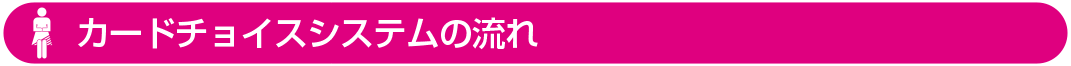 カードチョイスシステムの流れ